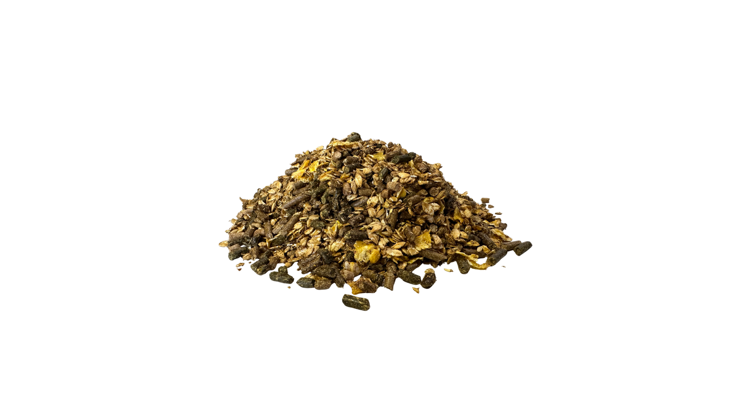 Classix 20+3kg GRATUIT