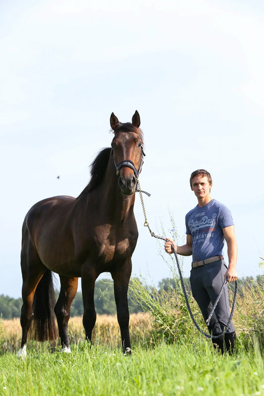 DDR Stables - Dyllan De Rycke