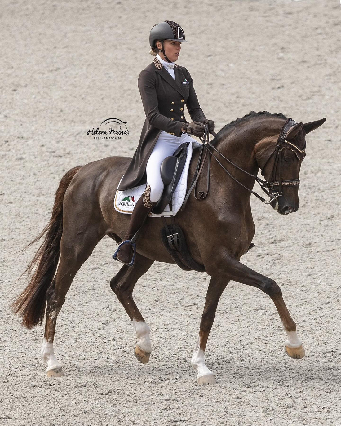 Isabel Cools Isabel Cool – D’hooghe horsefeed