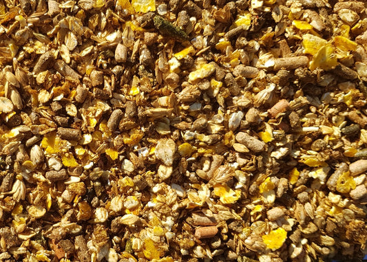 Classix 20+3kg GRATUIT
